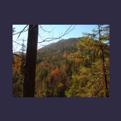 2012-10-20_Fall_AQUILA (012).JPG